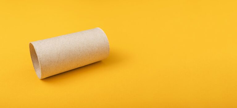 empty-roll-toilet-paper-with-copy-space