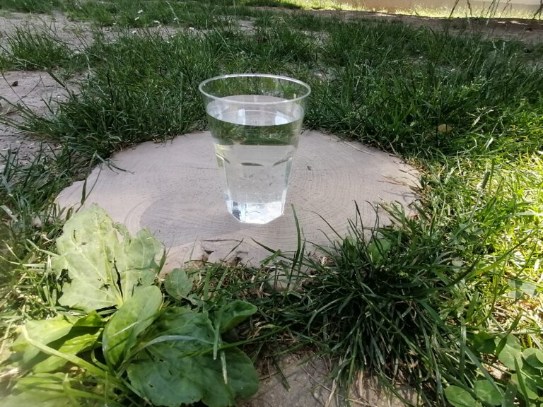 Impuls-f1
